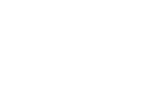 washing car icon